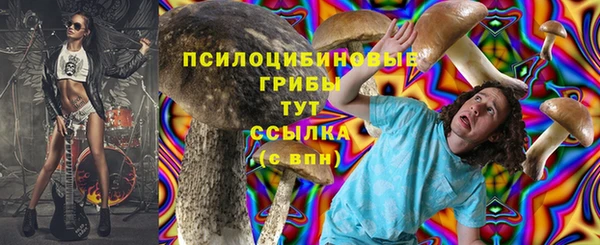 ECSTASY Алексеевка