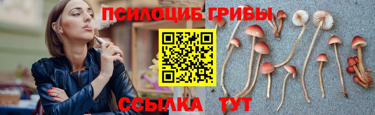 Галлюциногенные грибы Magic Shrooms Слободской